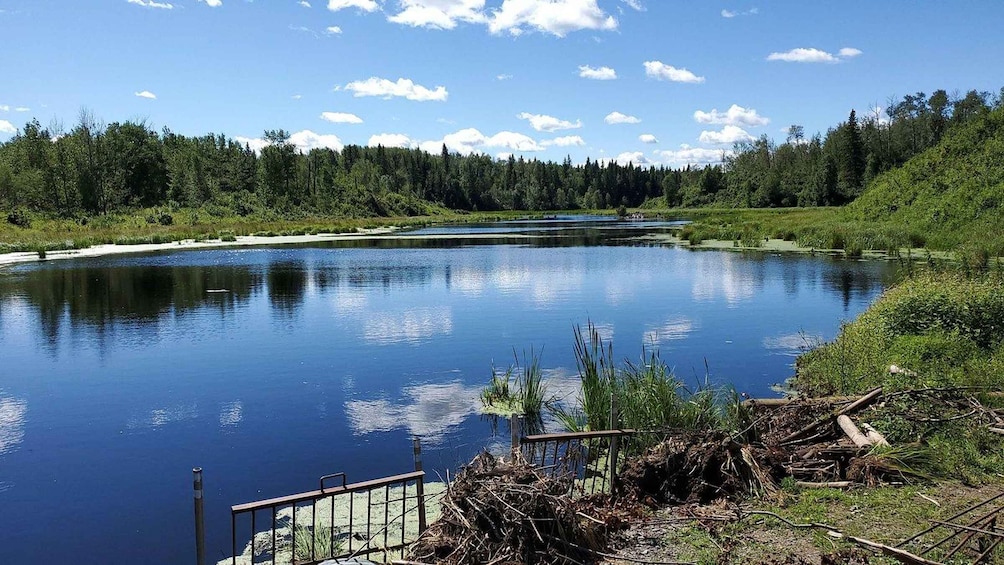 A calm river with a wooden dock, surrounded by dense forest and clear skies. 5