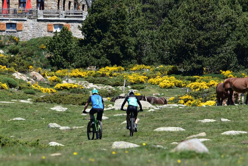 Picture 2 for Activity Pyrenees: E-Bike Tour with Premium Tasting 3