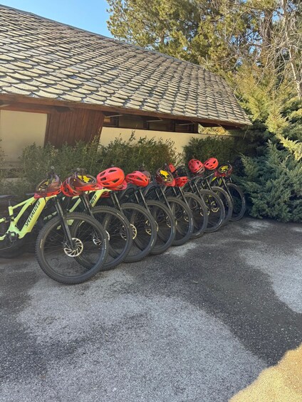 Picture 3 for Activity Pyrenees: E-Bike Tour with Premium Tasting 2