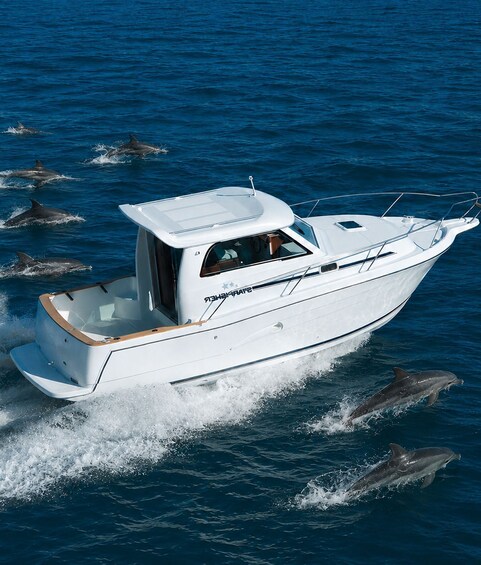 A white speedboat with a cabin, surrounded by dolphins in the ocean. 1