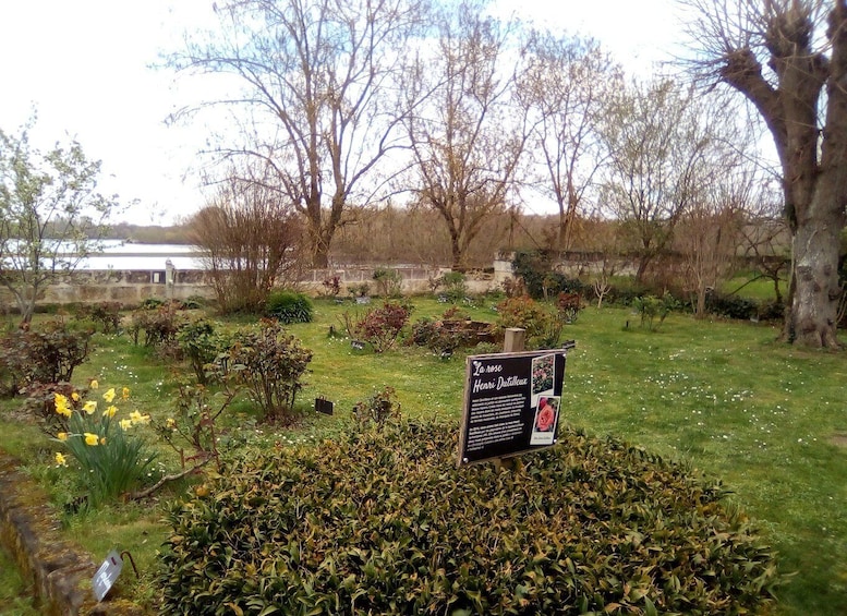 A garden with a sign about Henri Dutilleux, surrounded by trees and a body of water in the background. 2