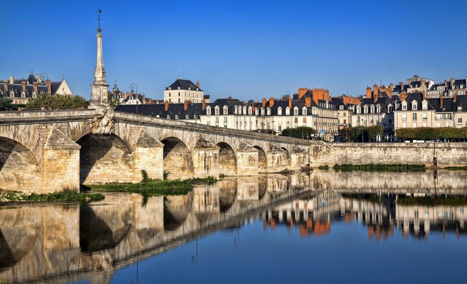 Picture 4 for Activity Paris: Loire Valley Château Blois & Wine Tasting Experience 2