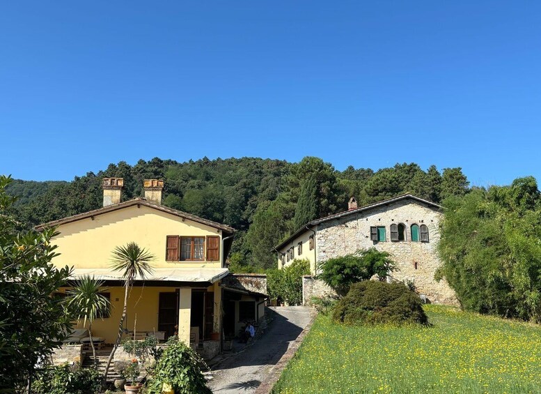 A yellow house with a stone building in a rural setting, surrounded by greenery and a clear sky. 3