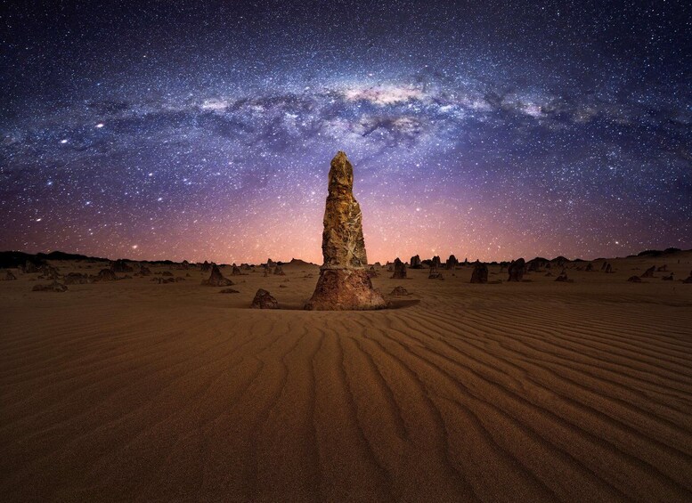 From Perth: Koala, Pinnacles Stargazing Day Tour 1