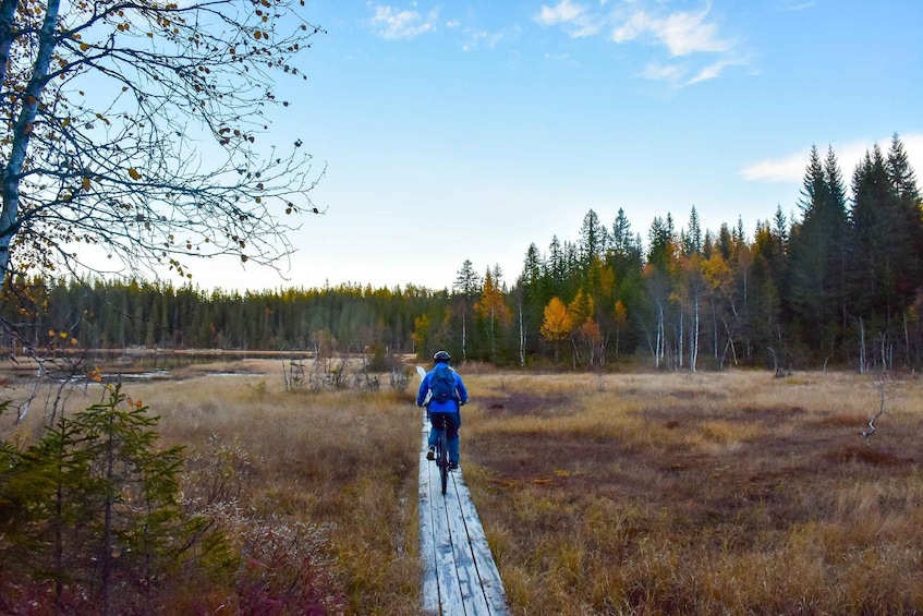 A person riding a bicycle on a wooden boardwalk through a forested area with autumn-colored trees. 3