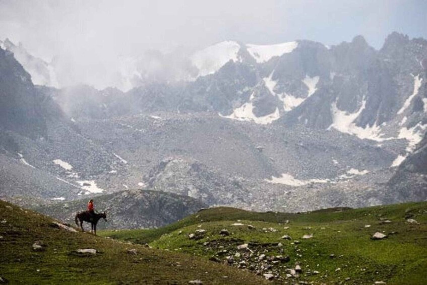 A person on a horse in a mountainous area with snow patches. 5
