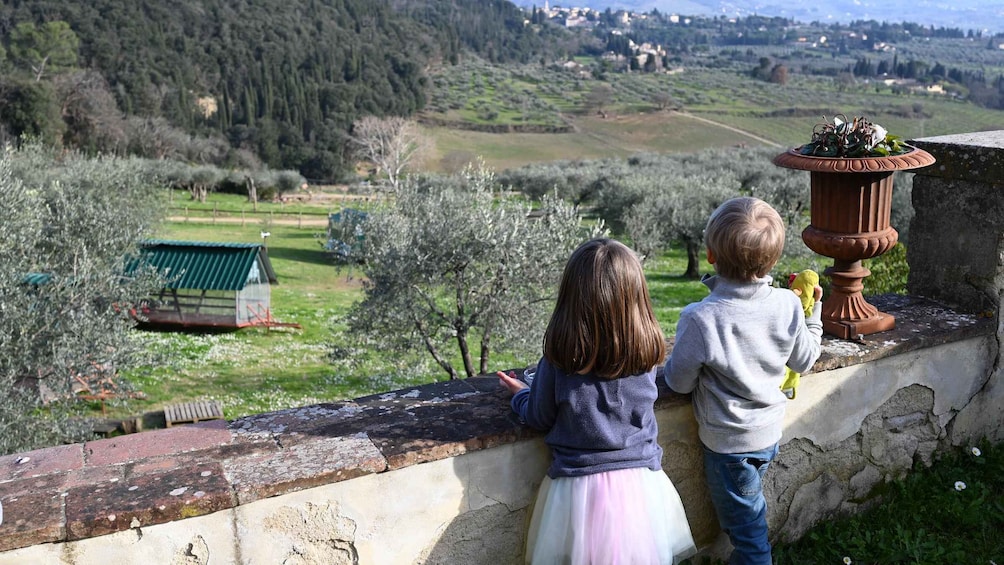 Two children overlooking a rural landscape with a green house and olive trees. 4
