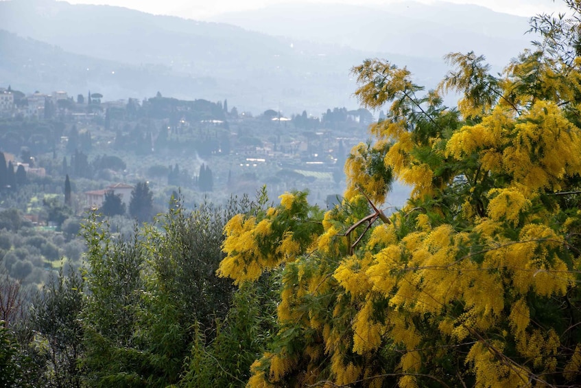 Picture 22 for Activity DISCOVERING AN ENGLISH GARDEN OVERLOOKING FLORENCE 3