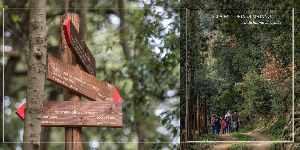 A wooden signpost with directions to various local attractions, and a forested path with people walking. 1