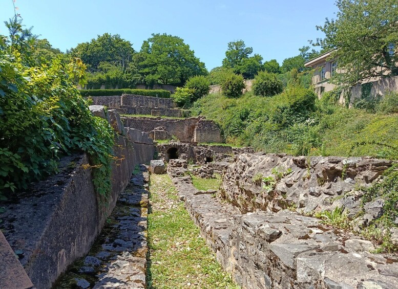 Ancient stone walls and a narrow passageway surrounded by lush greenery. 2