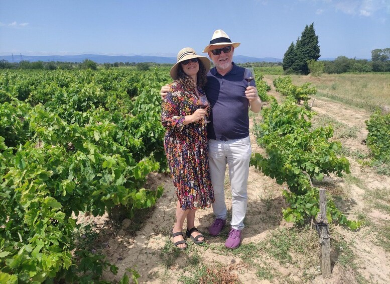 A vineyard with rows of grapevines and a clear sky. 4
