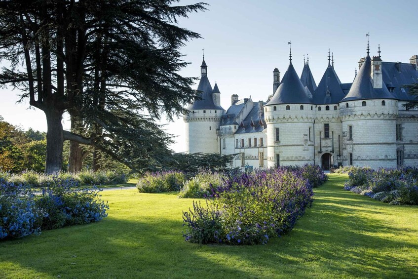 A historic castle with turrets, surrounded by manicured gardens and a large tree. 4