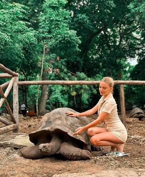 A person interacting with a tortoise in a natural setting. 3