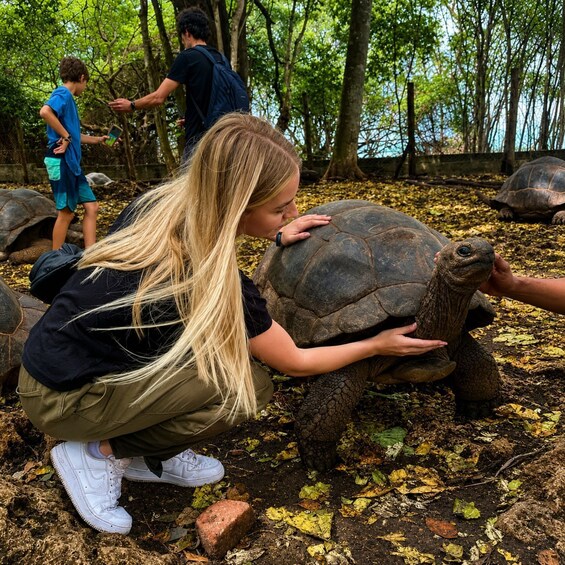 A person interacting with a tortoise in a forested area. 3