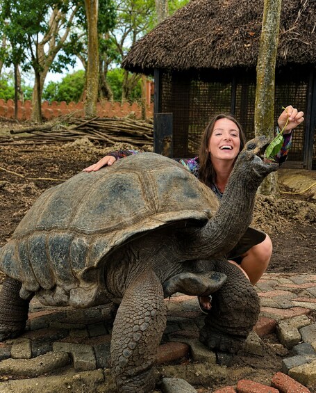 A person interacting with a large tortoise in a natural setting with trees and a thatched-roof structure. 5