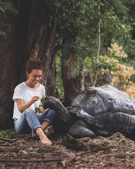A person sitting on the ground next to a large tortoise in a forested area. 2