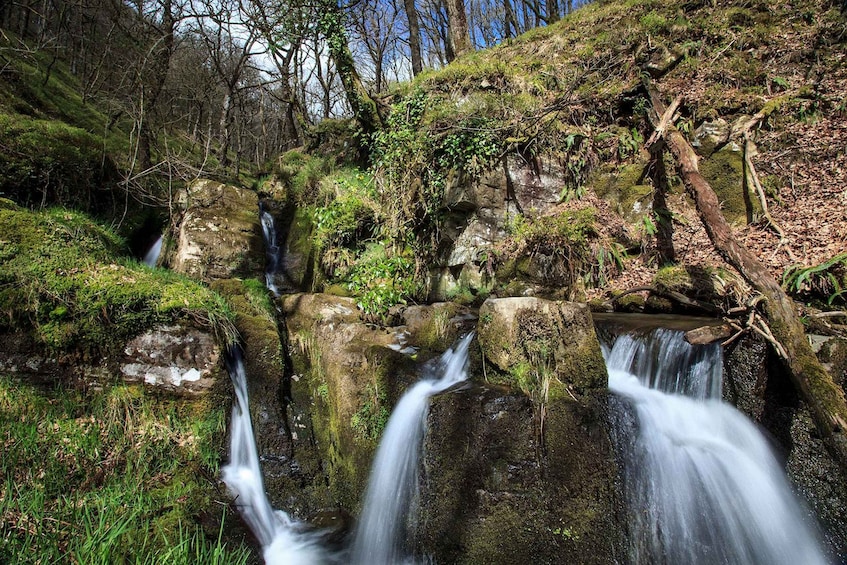 A waterfall cascading over moss-covered rocks in a forested area. 5