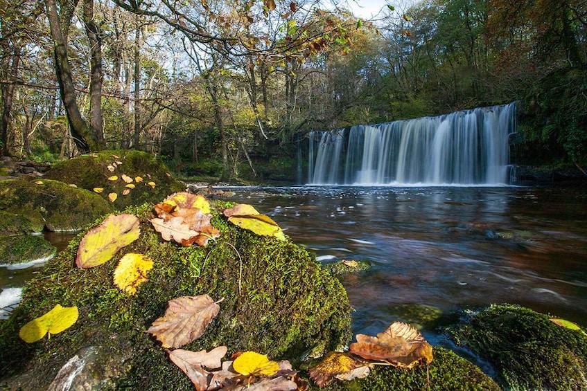 A forest waterfall surrounded by moss-covered rocks and autumn leaves. 4