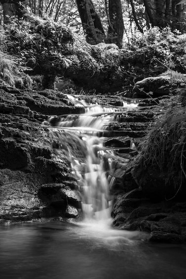 A waterfall in a forested area with moss-covered rocks and trees. 2