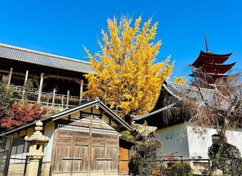 A traditional Japanese building with a wooden gate, a pagoda, and autumn-colored trees. 5