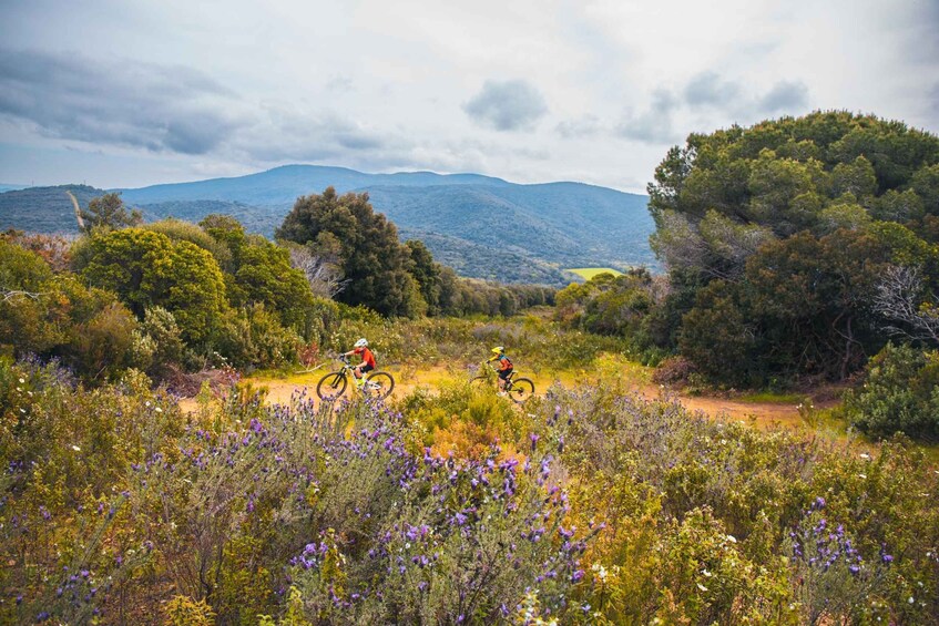 Two cyclists on a dirt trail surrounded by wildflowers and trees, with mountains in the background. 5