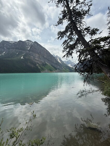 A calm lake with clear turquoise water, surrounded by mountains with patches of snow, and a prominent evergreen tree in the foreground. 5