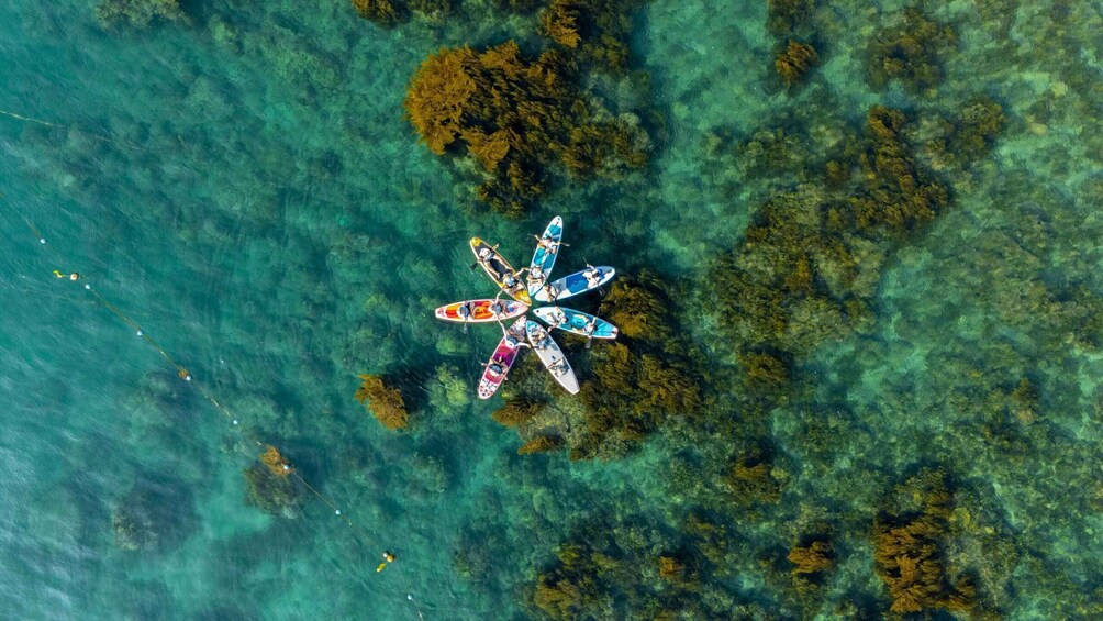 An aerial view of a clear turquoise sea with a group of colorful paddleboards arranged in a star shape. 3