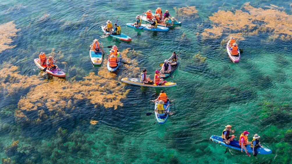 A group of people paddling in inflatable boats on clear water with visible underwater vegetation. 2
