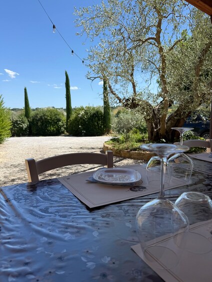 Picture 7 for Activity Montepulciano: Vineyard Tour, Wine Tasting & Tuscan Lunch 2