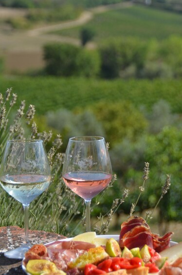 Picture 1 for Activity Montepulciano: Vineyard Tour, Wine Tasting & Tuscan Lunch 5