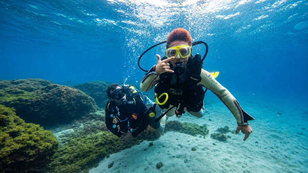 A diver underwater with a scuba tank and a camera, surrounded by marine life and coral reefs. 5