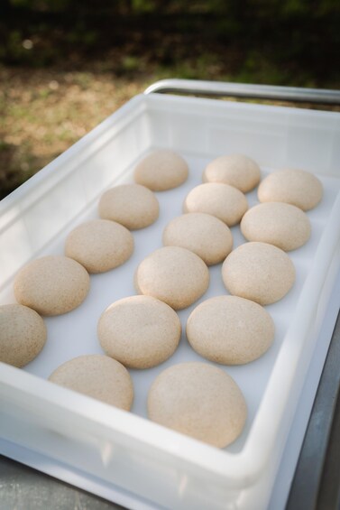 Picture 4 for Activity FocacciArt | Focaccia Making Workshop in an ancient Villa 5