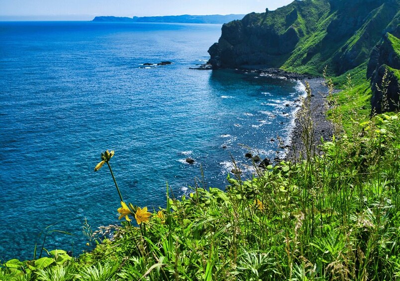 A coastal landscape with a clear blue sea, rocky shoreline, and lush greenery. 2