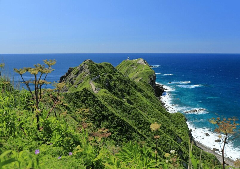 A coastal landscape with lush green hills, a clear blue ocean, and a rocky shoreline. 1