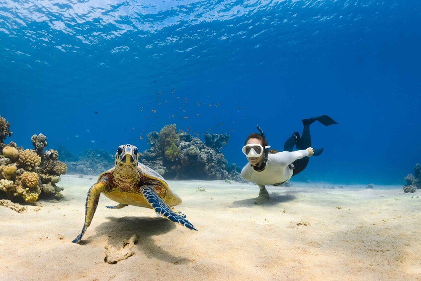 A diver swimming with a sea turtle near a coral reef. 4