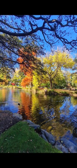 A serene pond surrounded by trees with autumn foliage, clear blue sky, and a calm water surface reflecting the trees. 5
