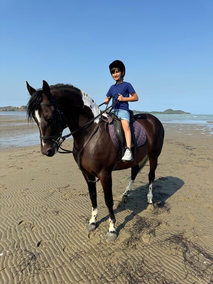 A person riding a horse on a sandy beach with the ocean in the background. 5