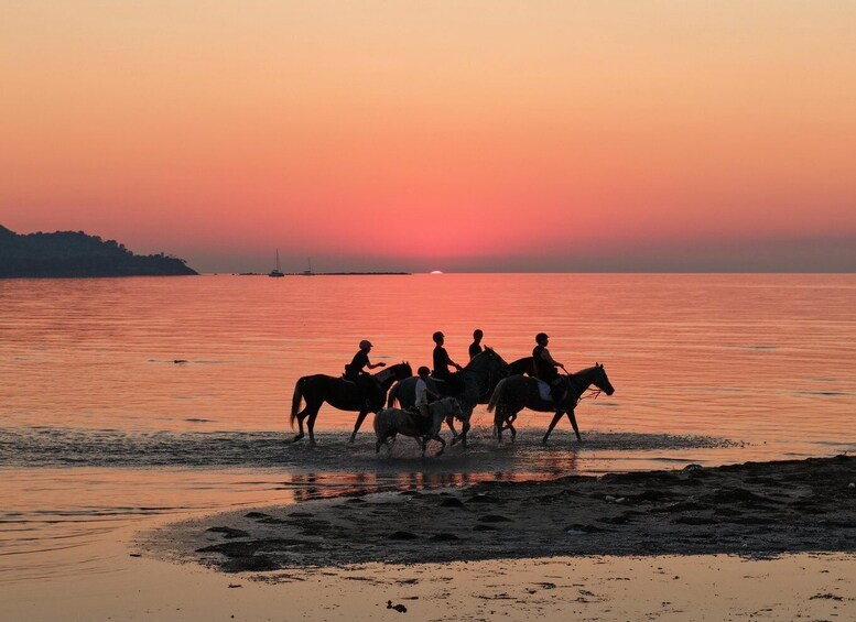Picture 4 for Activity 180 Minute Horse Riding in Durres 3