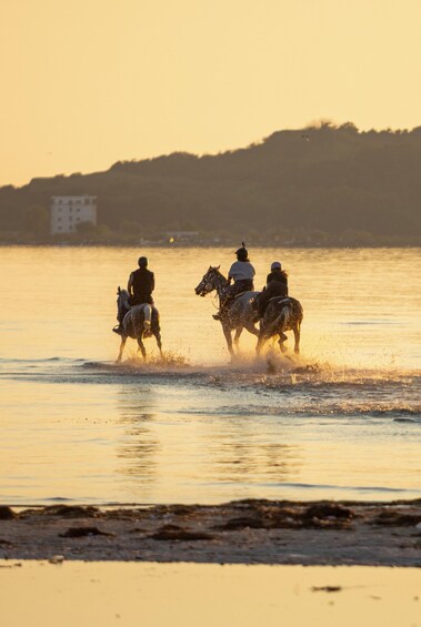 Picture 3 for Activity 180 Minute Horse Riding in Durres 4