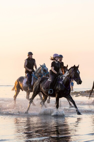 Picture 1 for Activity 180 Minute Horse Riding in Durres 5