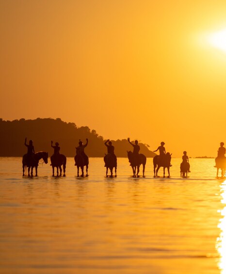 Picture 2 for Activity 180 Minute Horse Riding in Durres 2