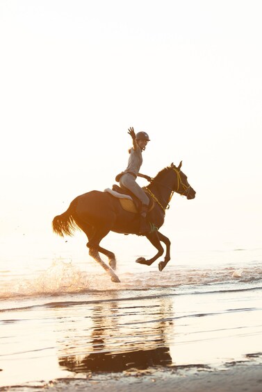 180 Minute Horse Riding in Durres 1