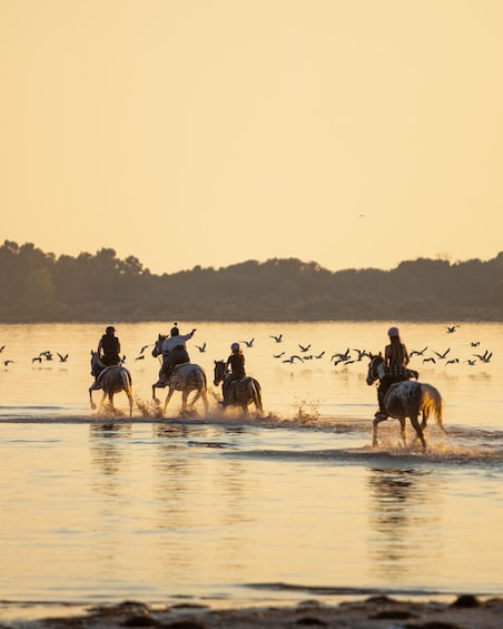 180 Minute Horse Riding in Durres 1