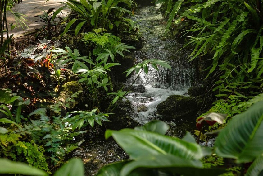 Picture 20 for Activity Miami: Fairchild Tropical Botanic Garden Entry Ticket 4