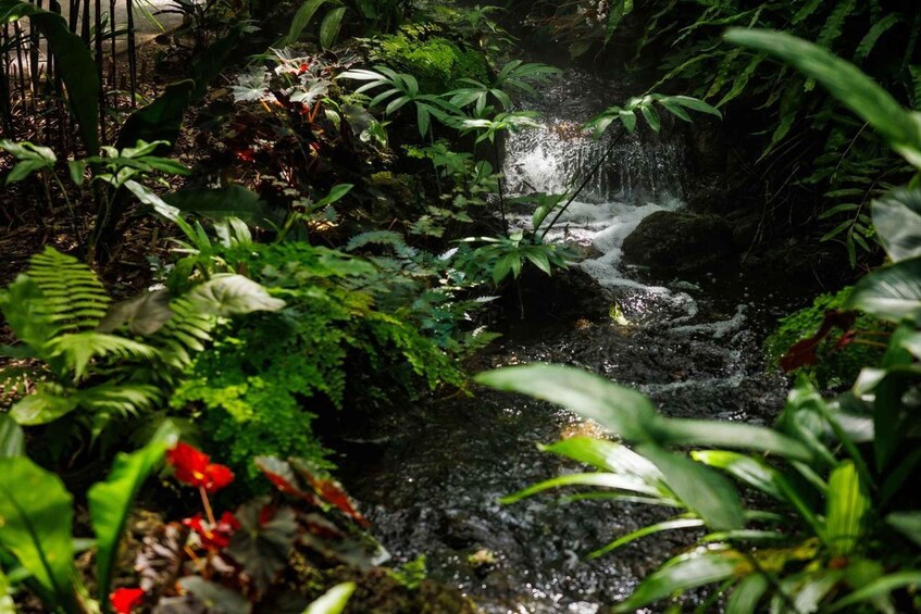 Miami: Fairchild Tropical Botanic Garden Entry Ticket 1