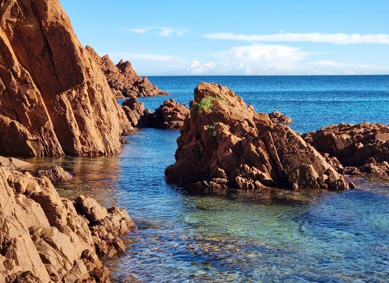 Picture 7 for Activity French Riviera: The most beautiful beaches and coves of the Esterel 5