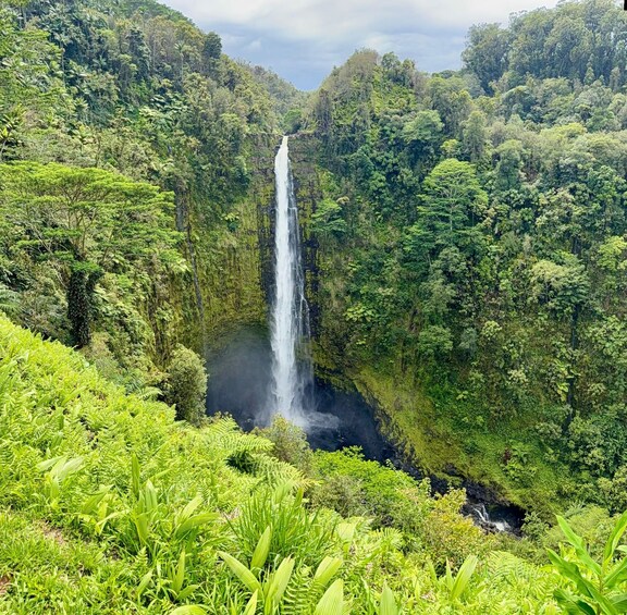 Ein Wasserfall, umgeben von üppigem Grün. 1