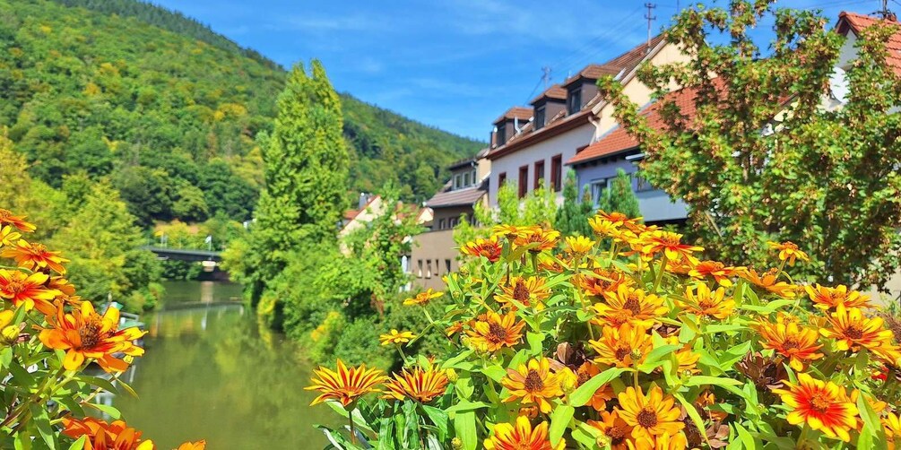 A river, houses, and greenery. 3