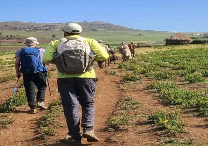 Un gruppo di persone cammina su un sentiero sterrato attraverso un campo, con una costruzione a tetto di paglia in lontananza. 1