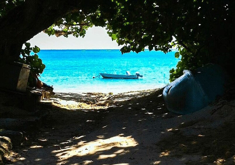 A beach with a boat anchored in the water, a clear sky, and a tree providing shade. 5